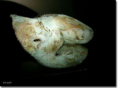 Figurative bronze artist Gabrielle Fischer Horvath was born in Hungary and is now living and working in Toronto / Ontario /Canada.